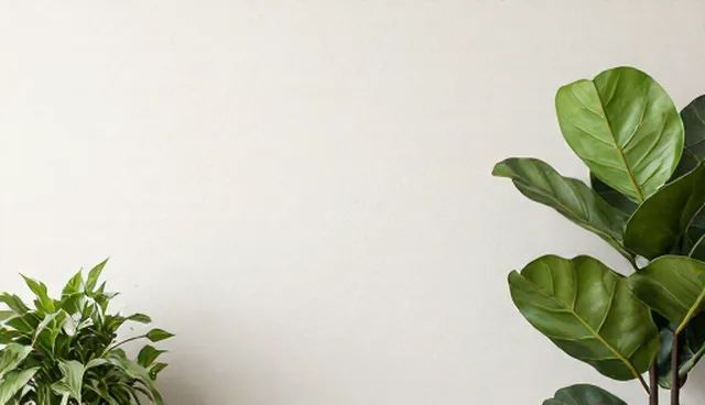 运维服务在不同应用场景下的实施对比分析